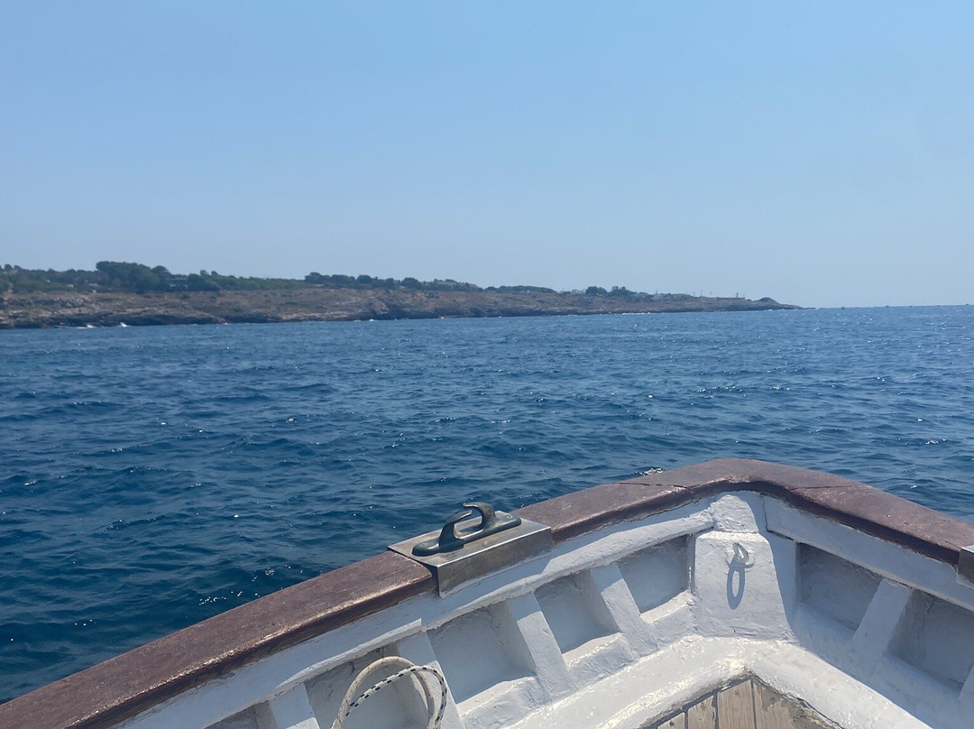 Escursioni Maretta-Torre Vado必去景点