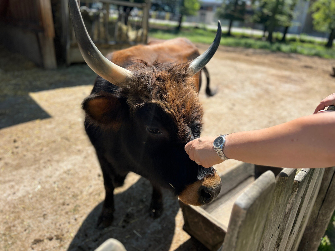 Tierpark Stadt Haag-Haag必去景点