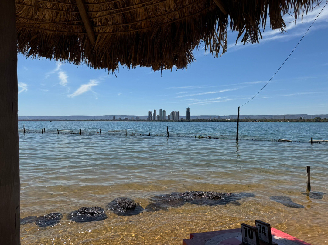 Ilha Canela-Palmas必去景点