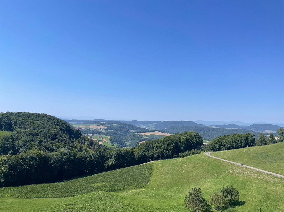 Bad Ramsach Quellhotel主图