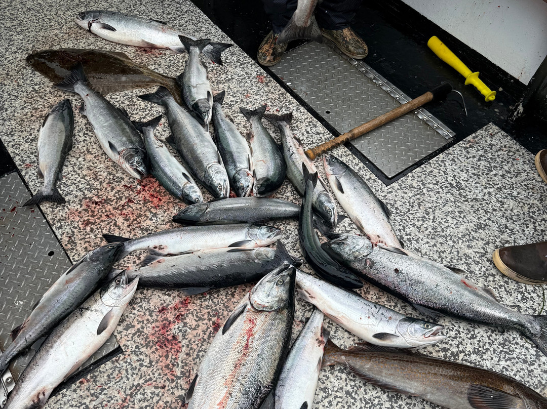 GO FISH Charters Ketchikan-凯奇坎必去景点
