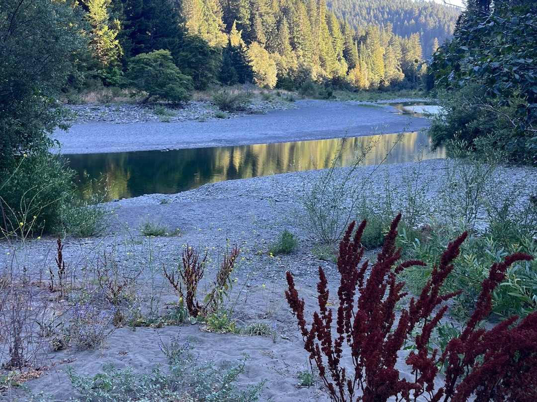Grizzly Creek Redwoods State Park-Carlotta必去景点