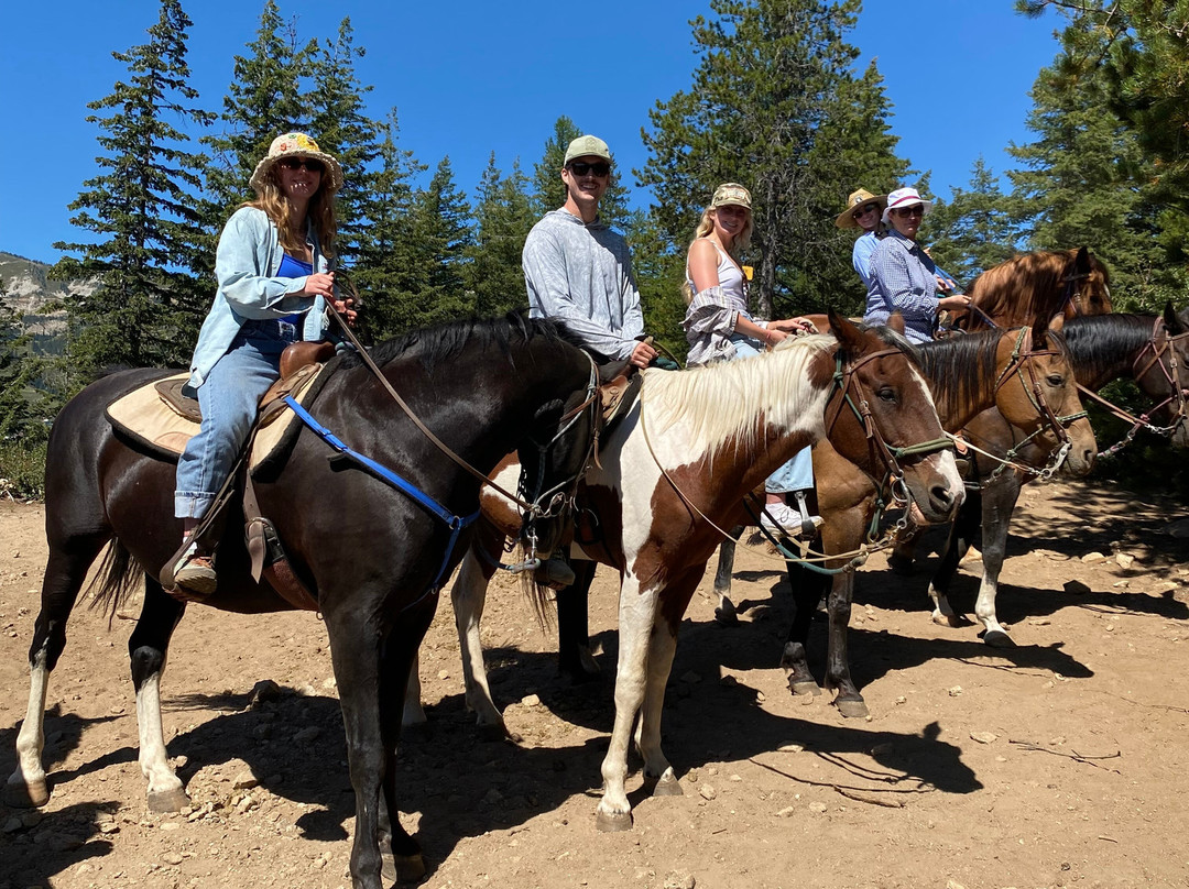 Mountain Horse Adventures-桑德波因特必去景点