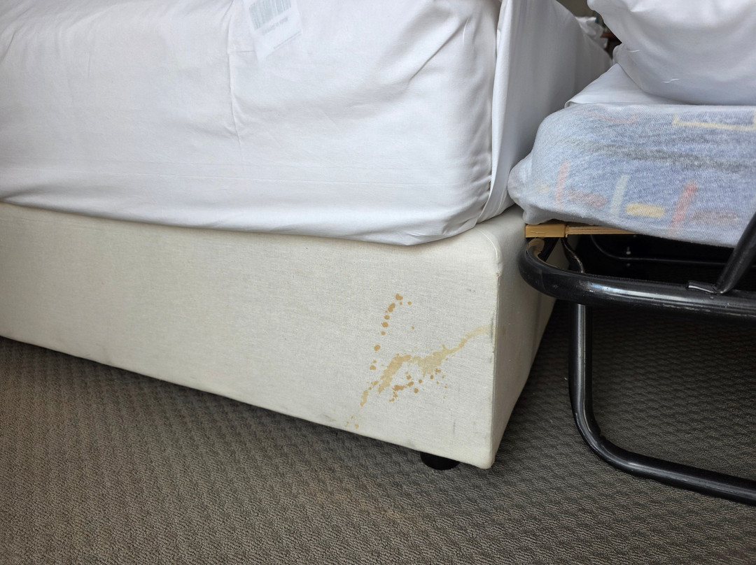 Wyndham Garden Quedlinburg Stadtschloss主图