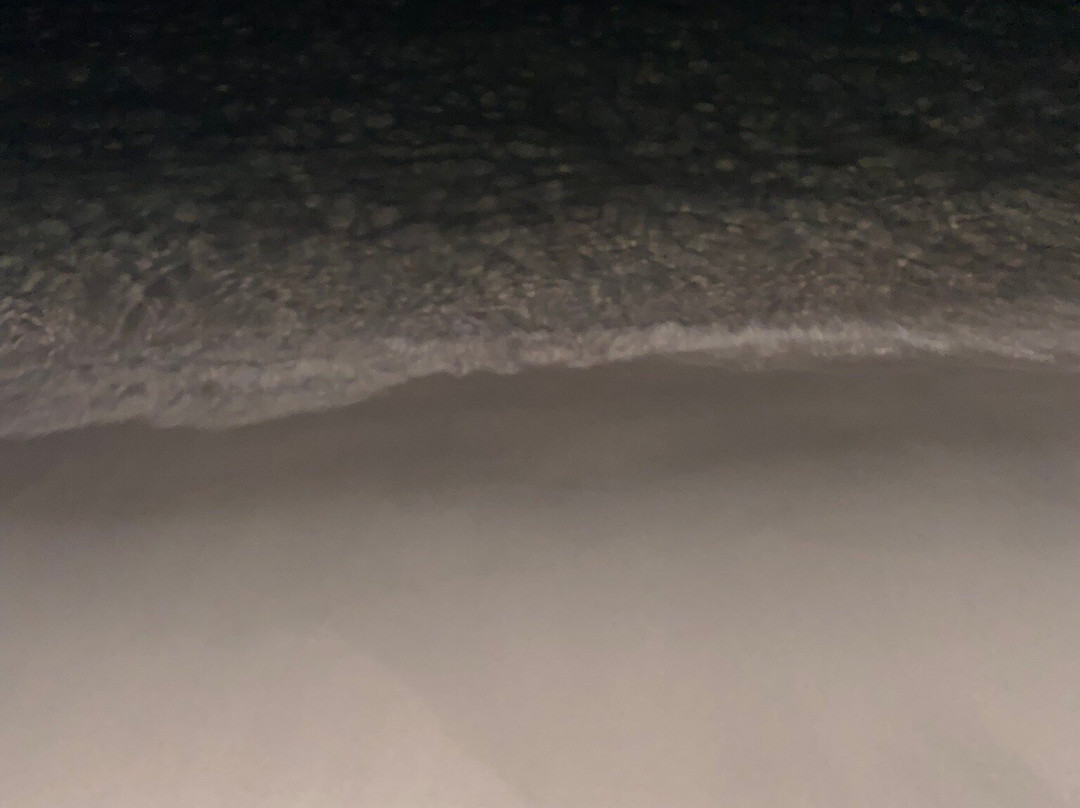 Platja de Son Xoriguer-卡兰博希必去景点