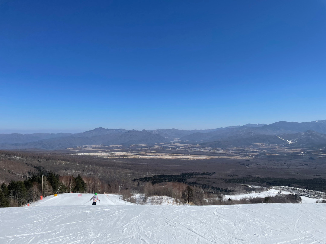 Sun Meadows Kiyosato Highland Park-北斗市必去景点