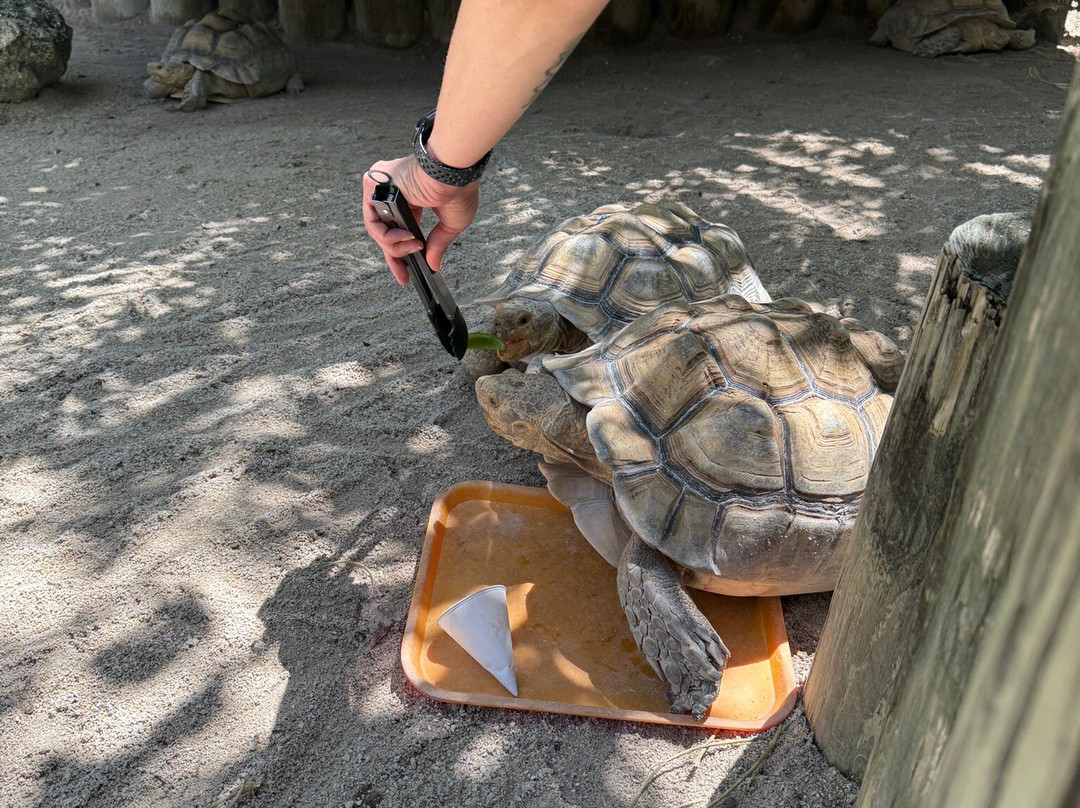 Florida Keys Aquarium Encounters-马拉松必去景点