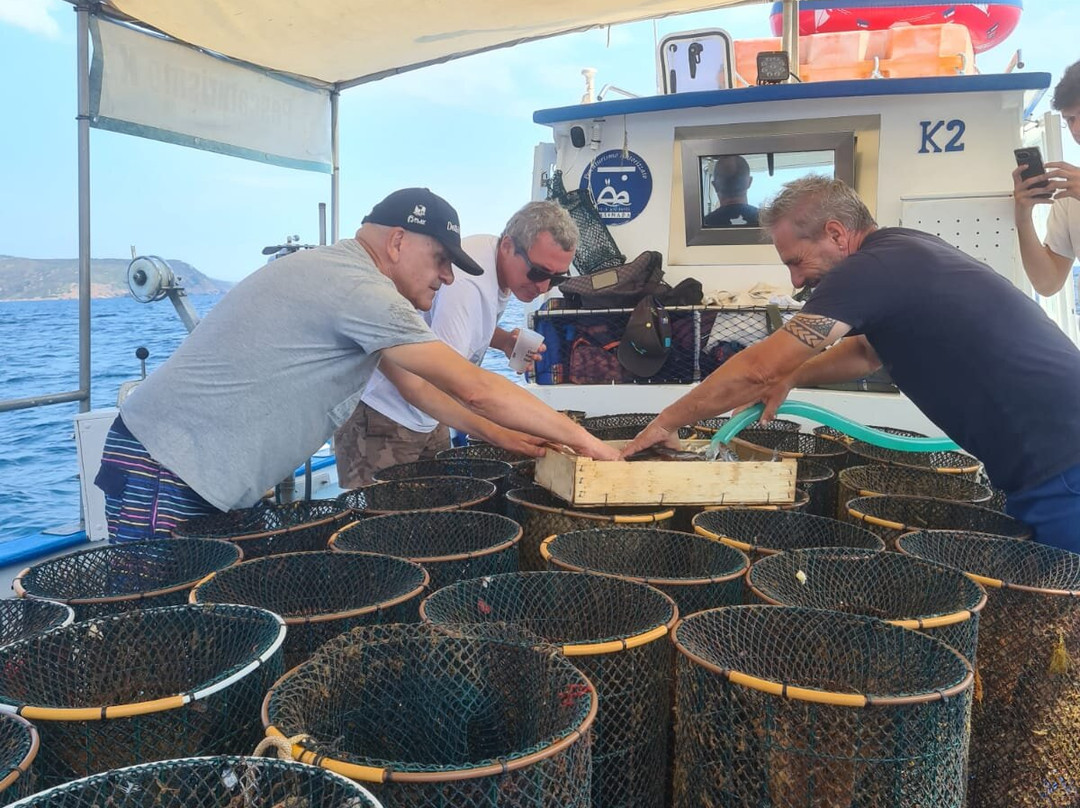 Pescaturismo K2-萨萨里省必去景点