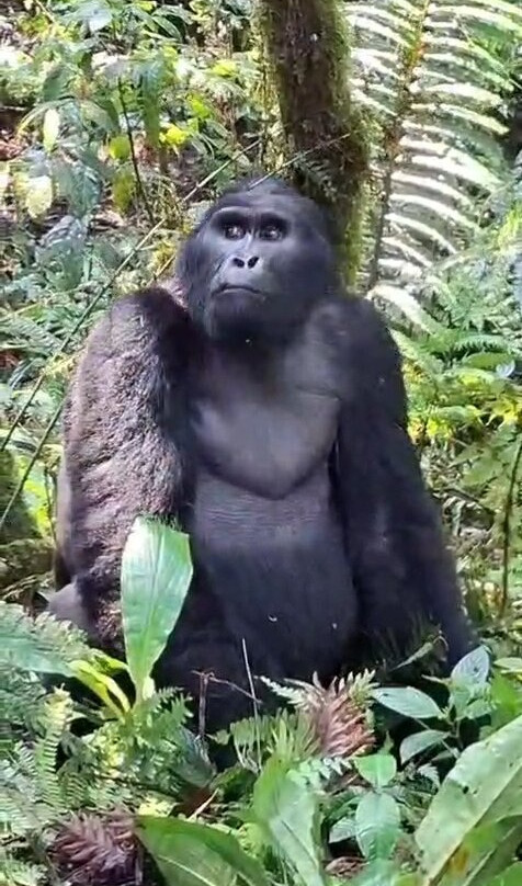 My Trip 2 Africa-Mbarara必去景点