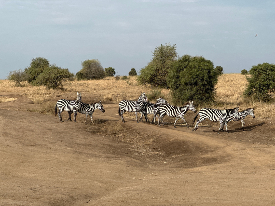 NIVLEK TOURS-内罗毕必去景点