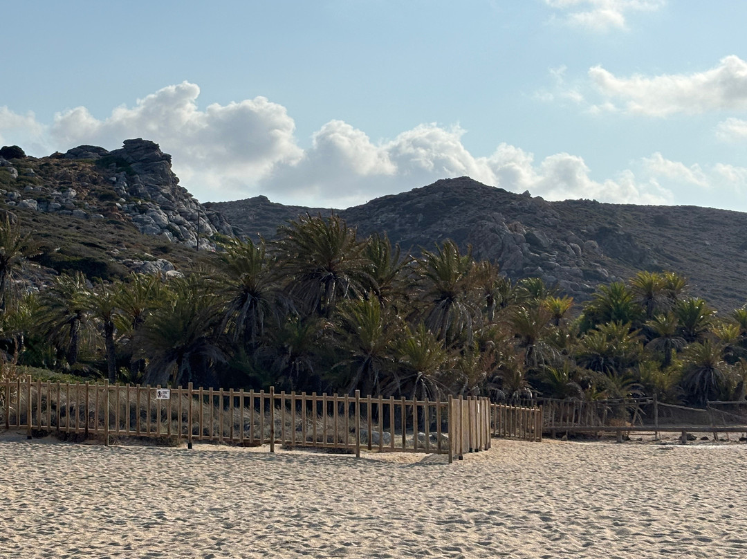 Archaeological Site of Itanos-Vai必去景点