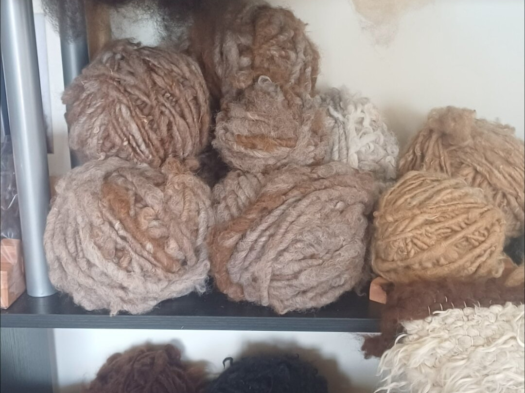 Millburn Alpacas-New Cumnock必去景点
