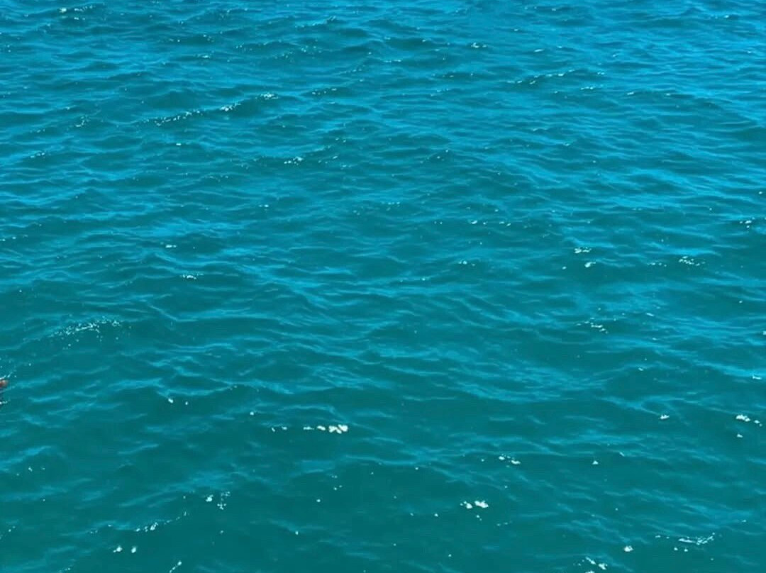 Ticket Market Ibiza-伊维萨必去景点