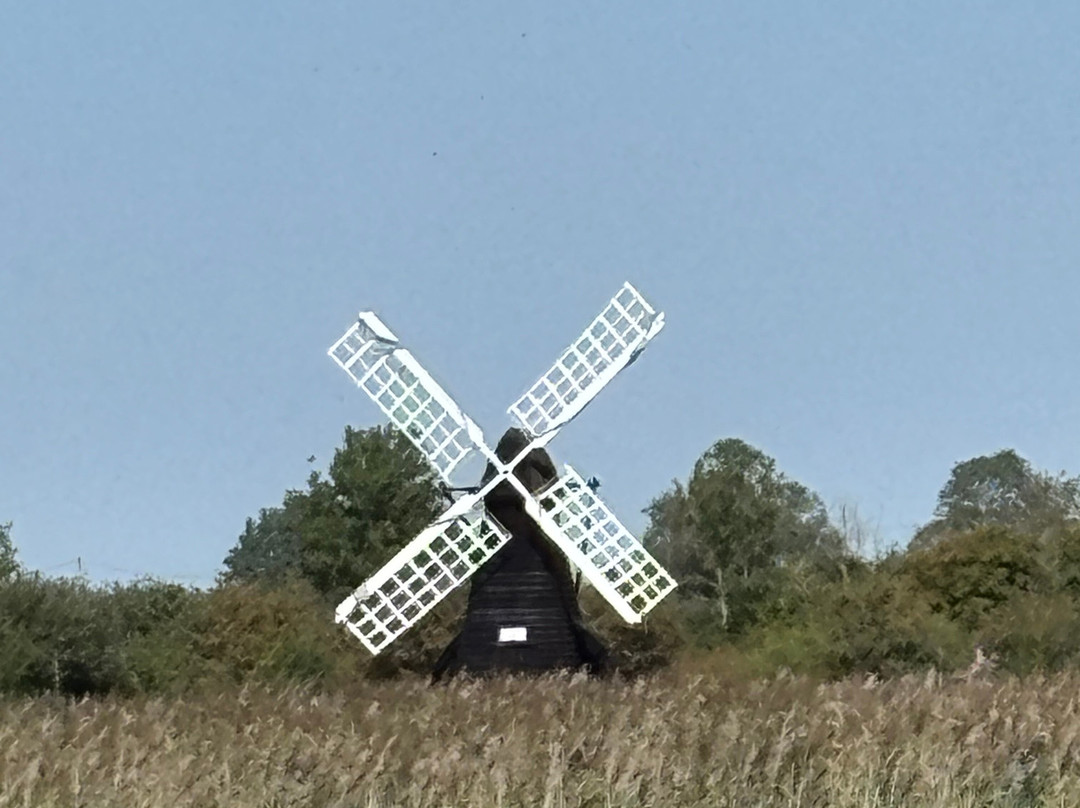 Wicken Fen National Nature Reserve-伊利必去景点