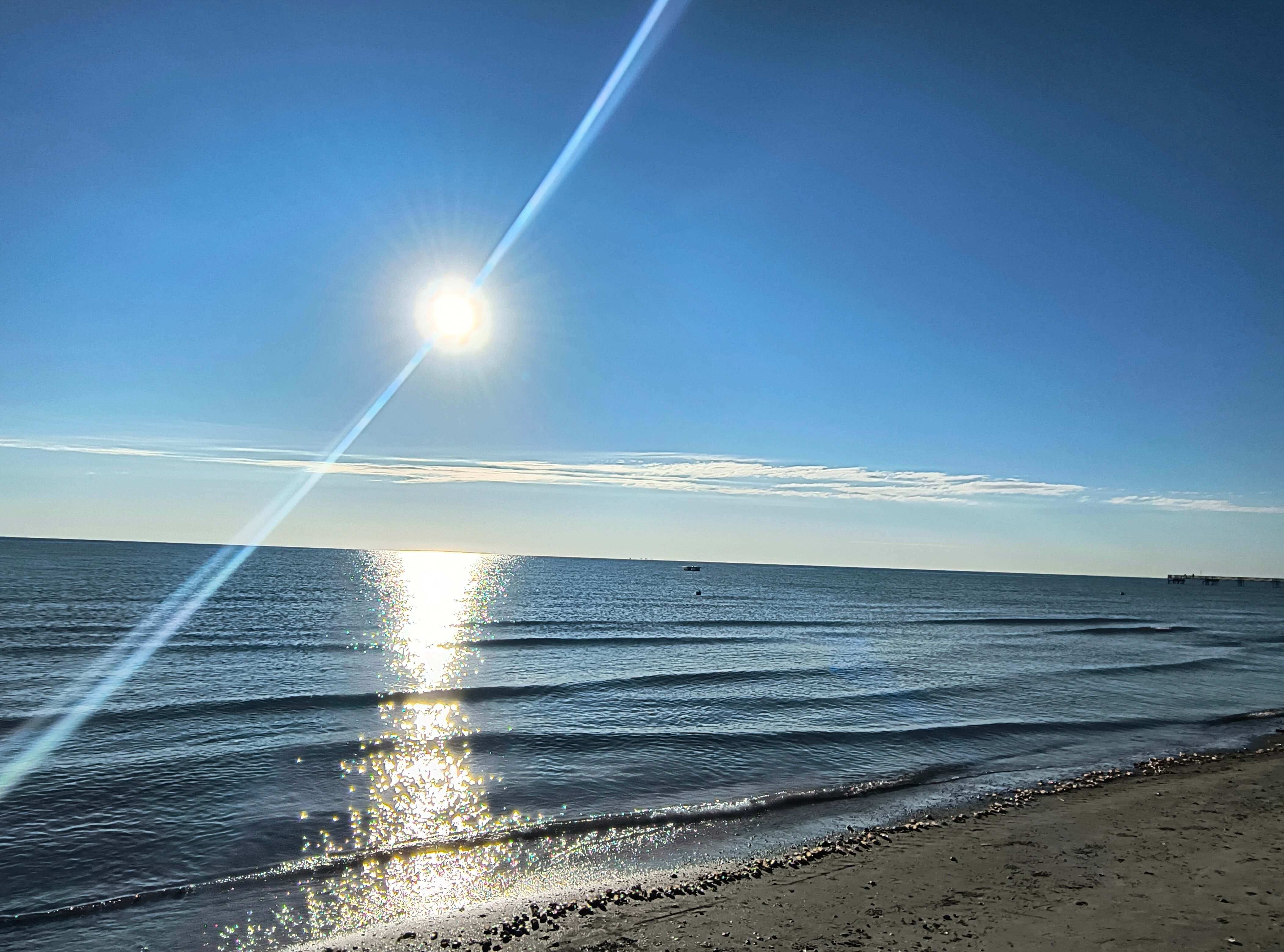 Hotel Sayonara-官方