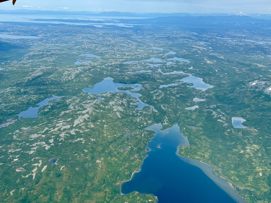 Bald Mountain Air Service-荷马必去景点