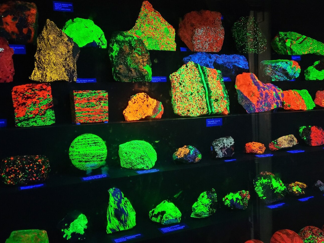 Sterling Hill Mining Museum-Ogdensburg必去景点