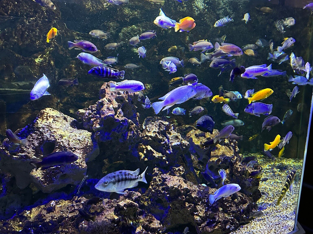 Aquarium du Limousin-利摩日必去景点