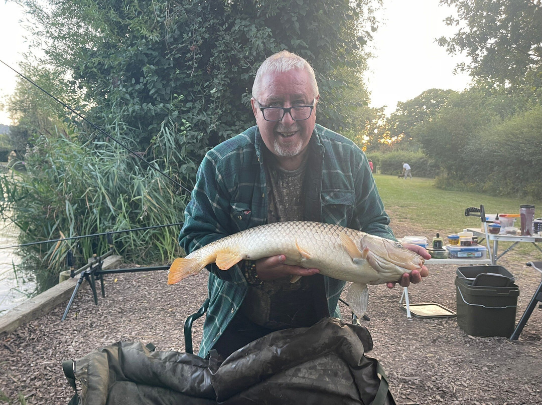 Alderwood Pond Fishing lakes-Steyning必去景点