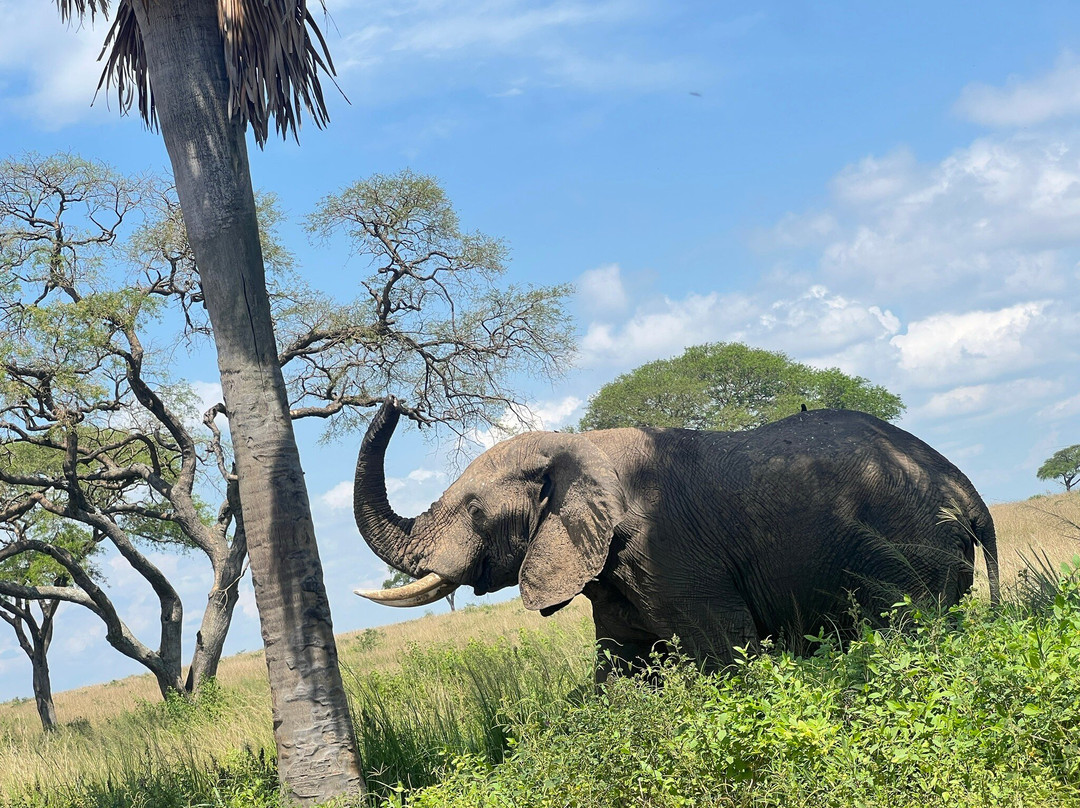 Kfir Adventures Ltd-马辛迪必去景点