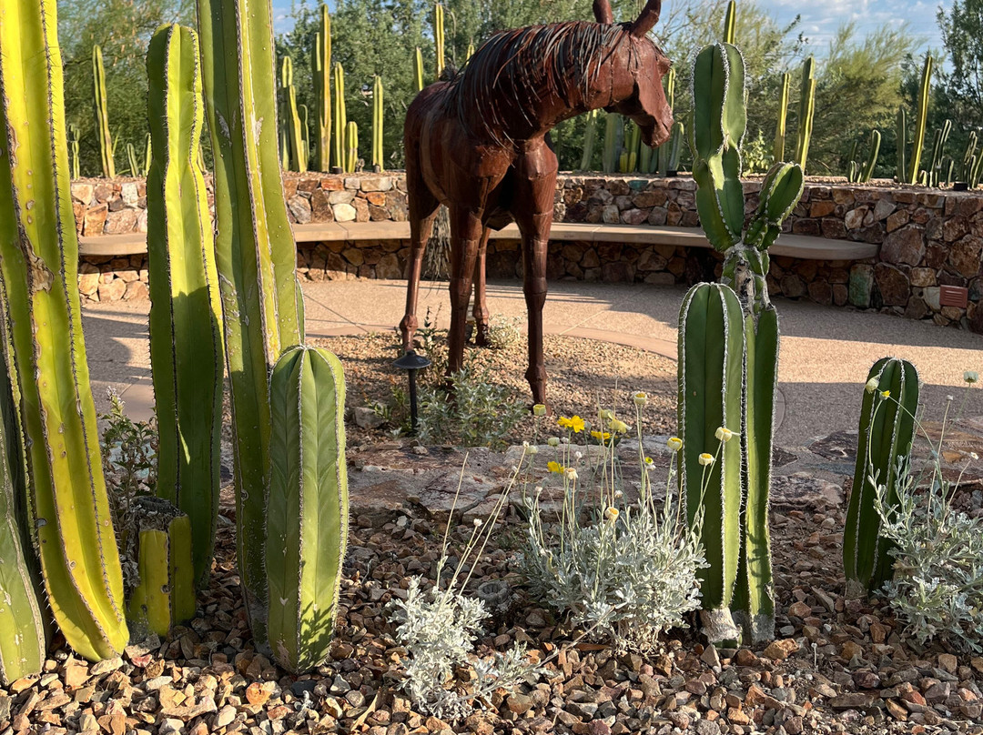 Tohono Chul-图森必去景点