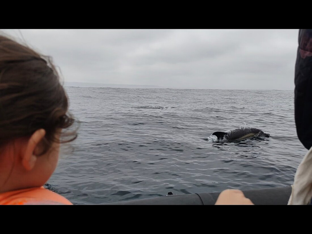 Nazaré On_da Wave-纳扎雷必去景点