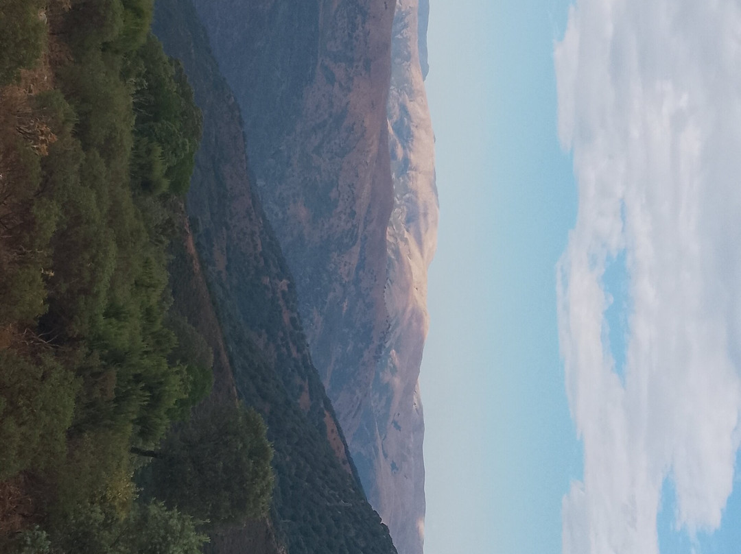 Agriturismo S'Armidda主图