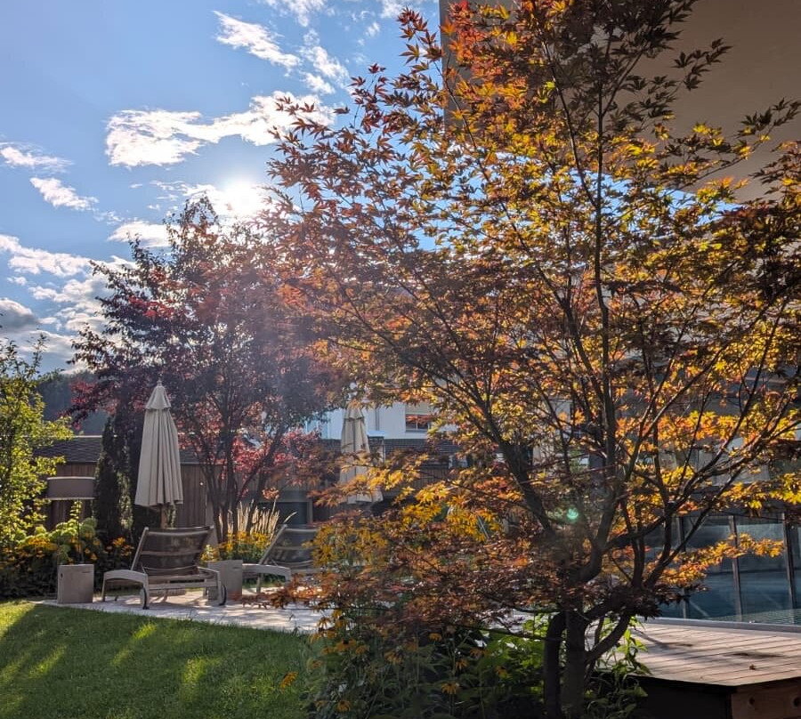 Hotel Langgenhof主图