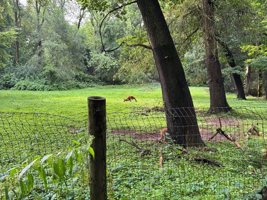 Binder Park Zoo-Battle Creek必去景点