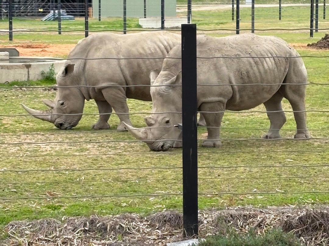 Altina Wildlife Park-Darlington Point必去景点