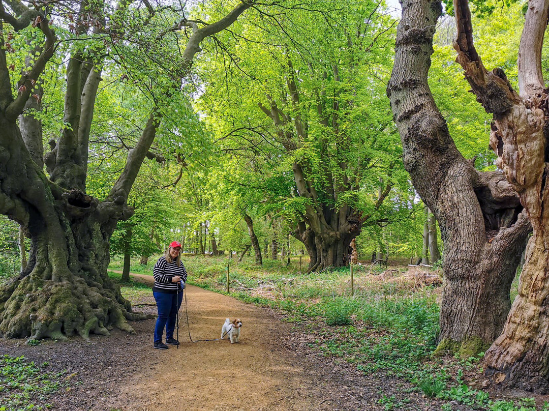 High Beach Beauty Spot-Loughton必去景点