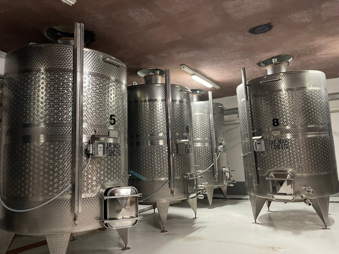 Baron Balche-Valle de Guadalupe必去景点