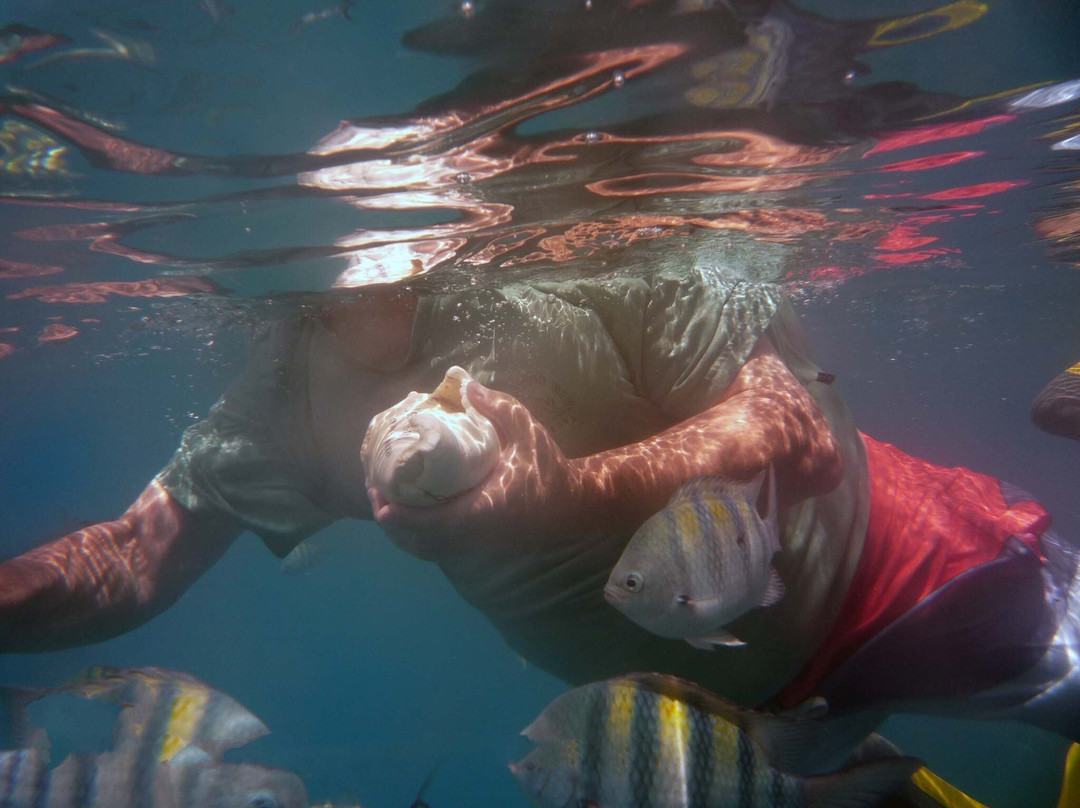 Divecenter Merlin-苏莎亚必去景点