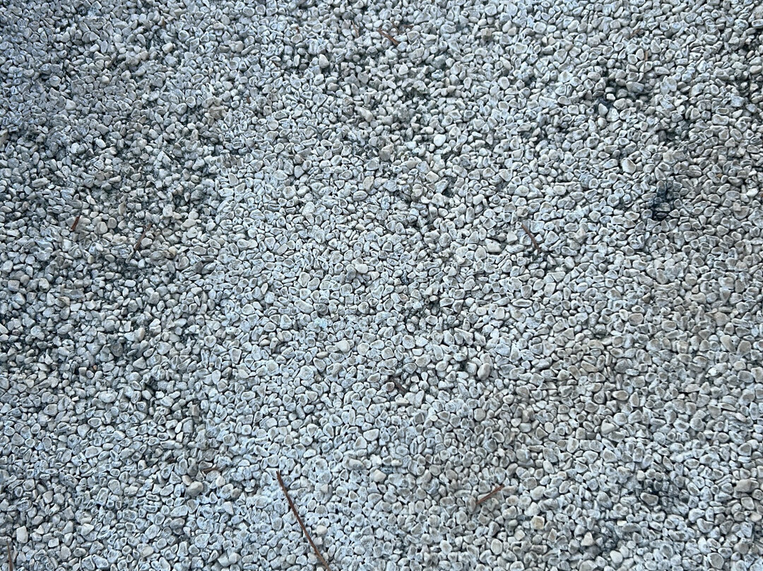 Mythical Coast Wellness Retreat主图