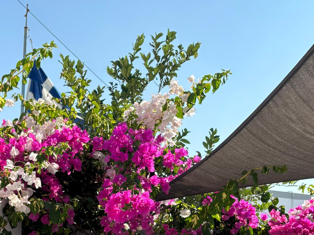 Karterados酒店住宿-1812 Caves 'n Mansion