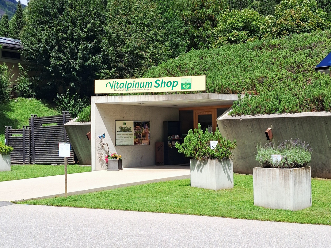Vitalpinum-Assling必去景点