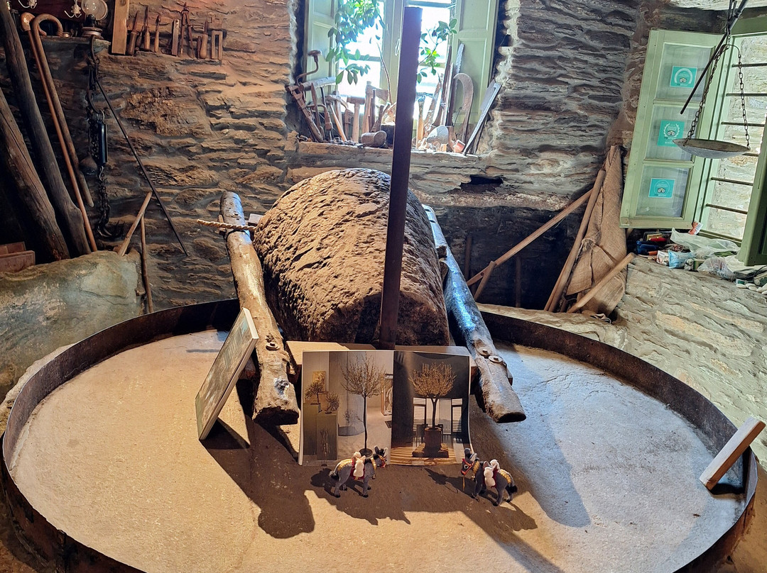 Cyclades Olive Museum-Pitrofos必去景点