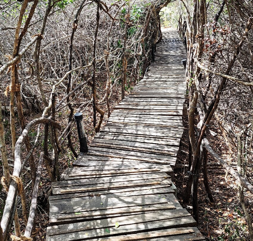 Cloud Nine Lanka Resort Wilpattu主图