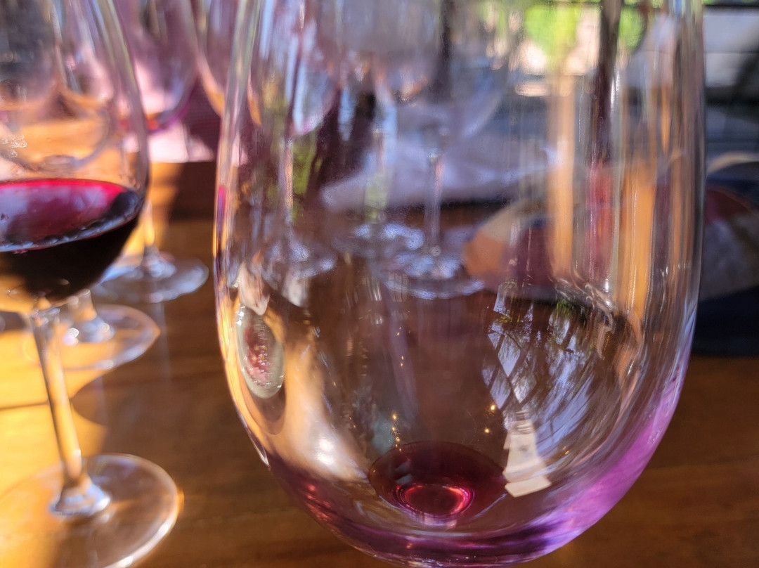 Vintura Wine Tours-阿格雷洛必去景点