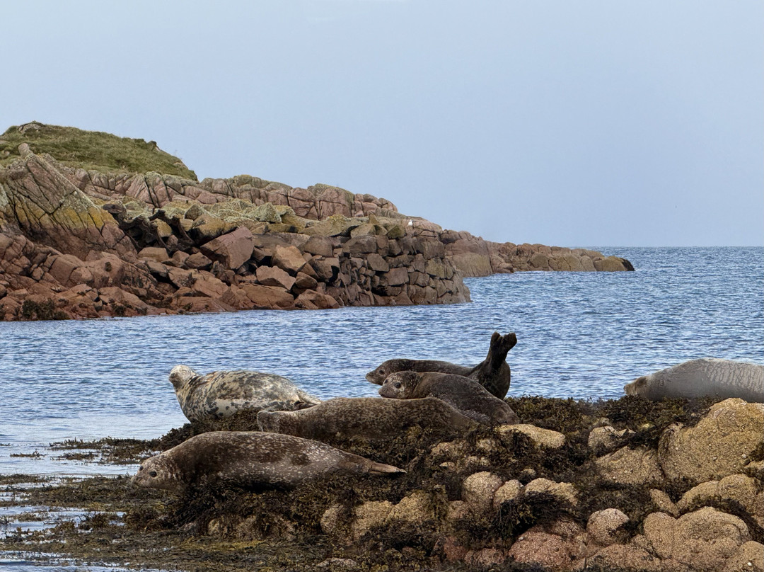 Staffa Trips-Isle of Iona必去景点