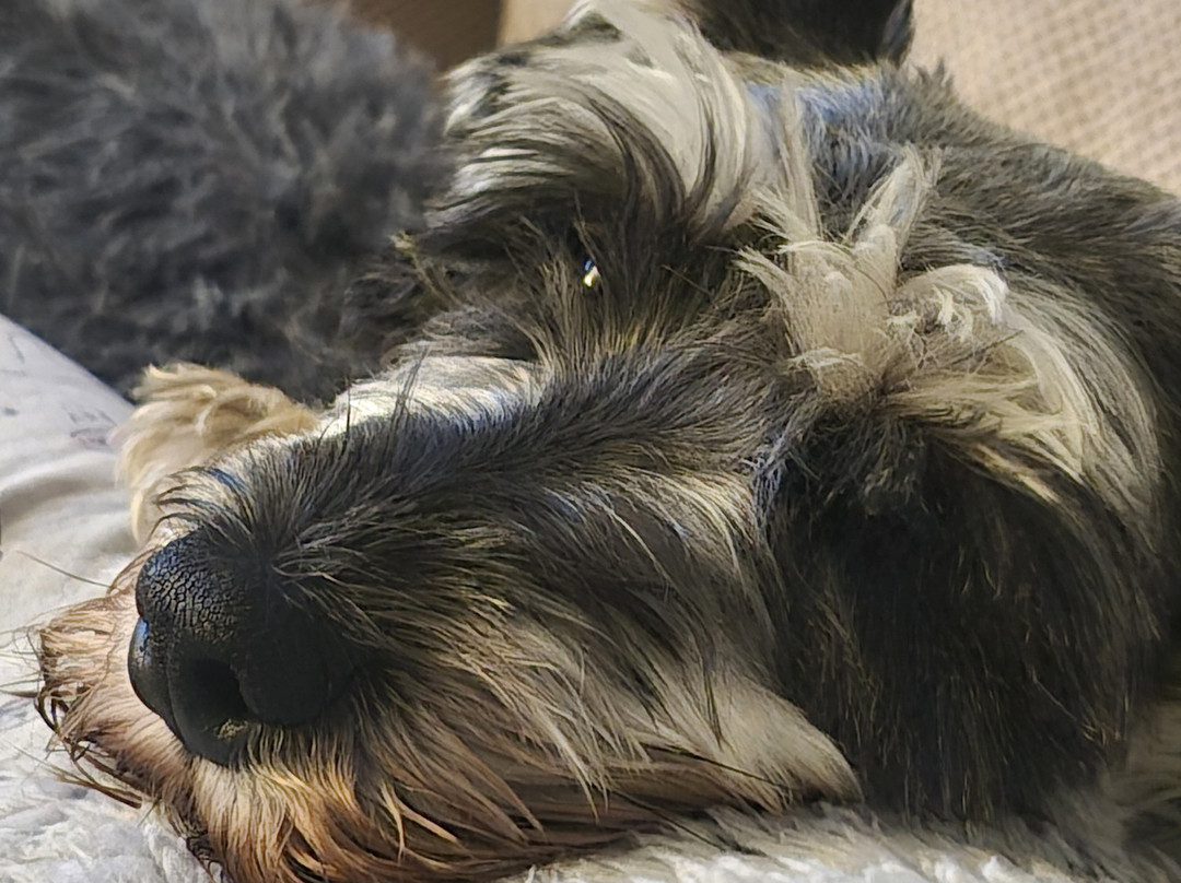 Saffron House Hotel主图