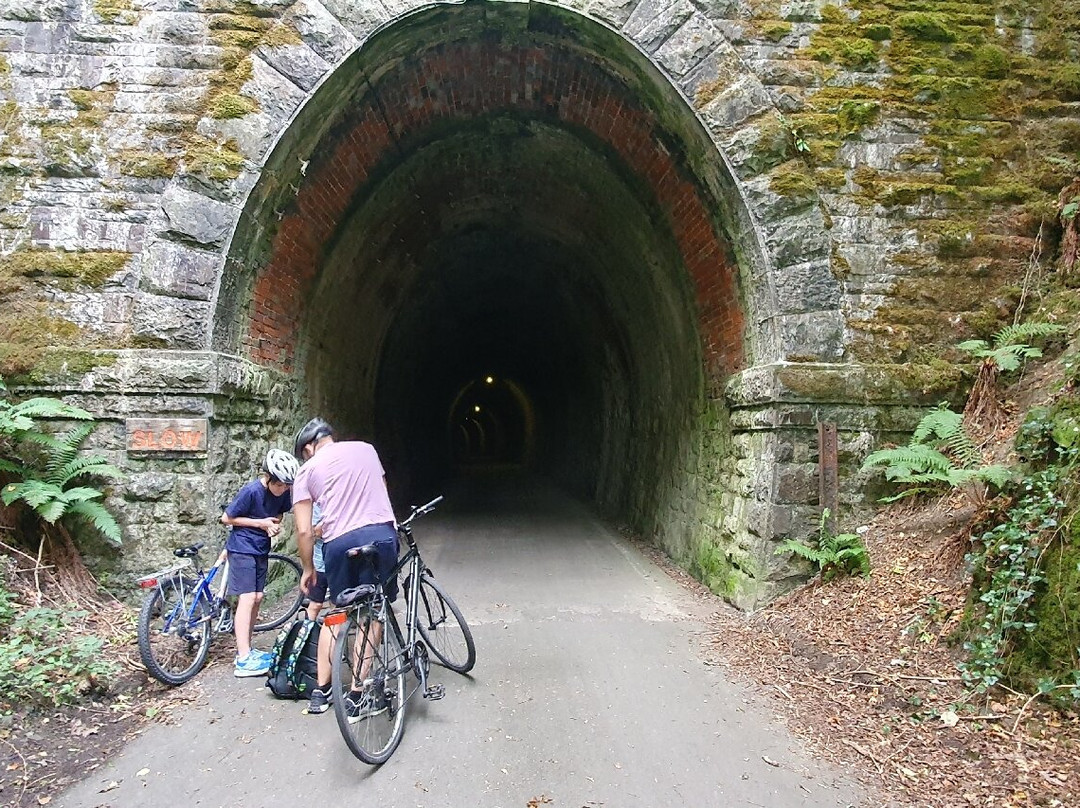 Tarka Trail Cycle Hire-巴恩斯特珀尔必去景点
