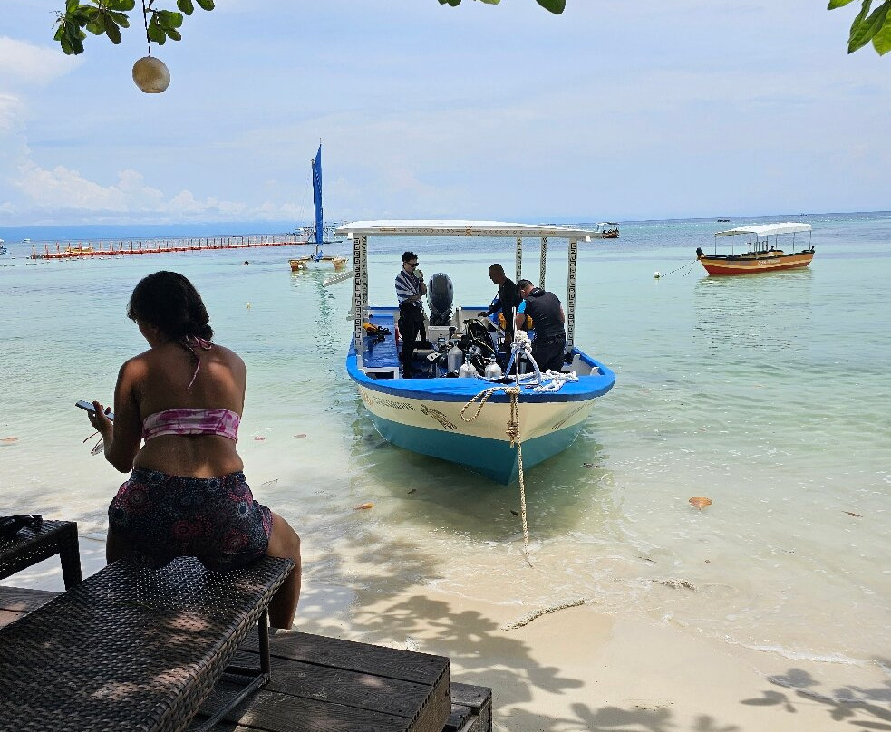 Honu Dive Center-null必去景点