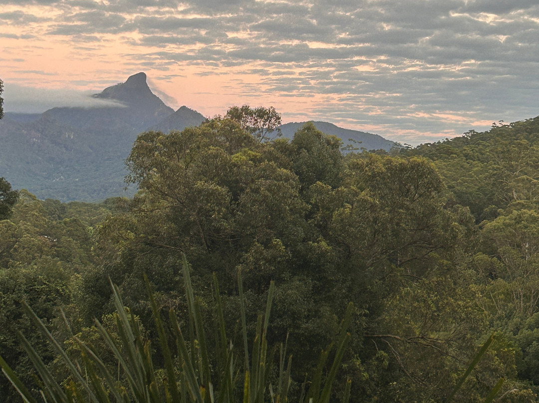 EcOasis Resorts主图