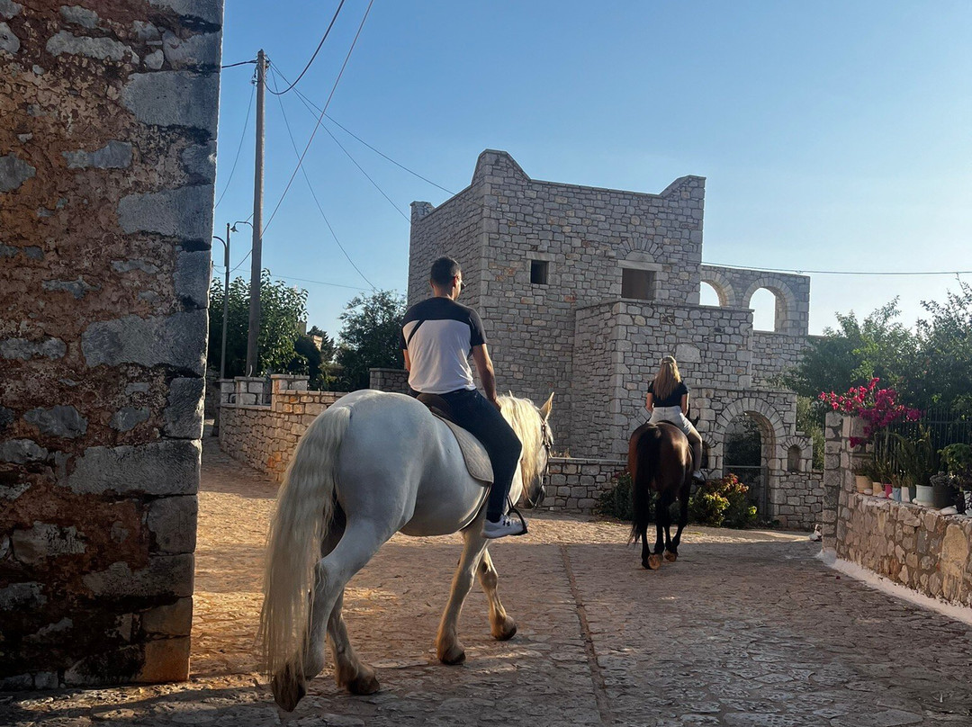 Mani Horses-East Mani必去景点