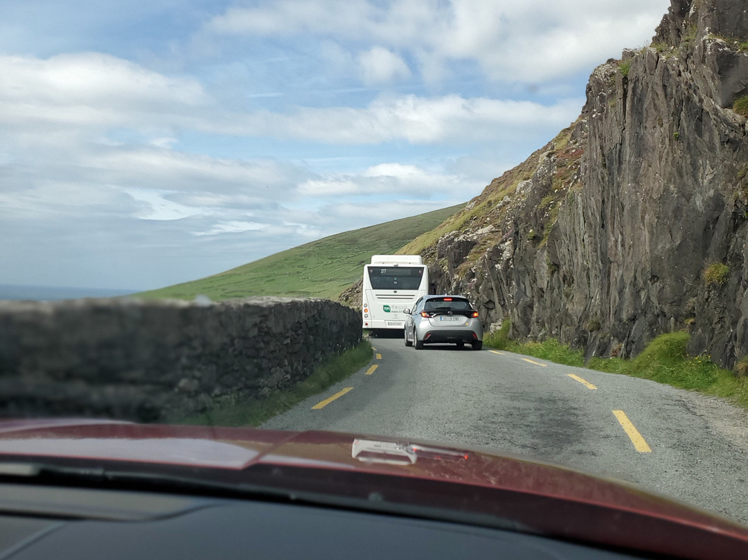 Dingle Peninsula-凯里郡必去景点