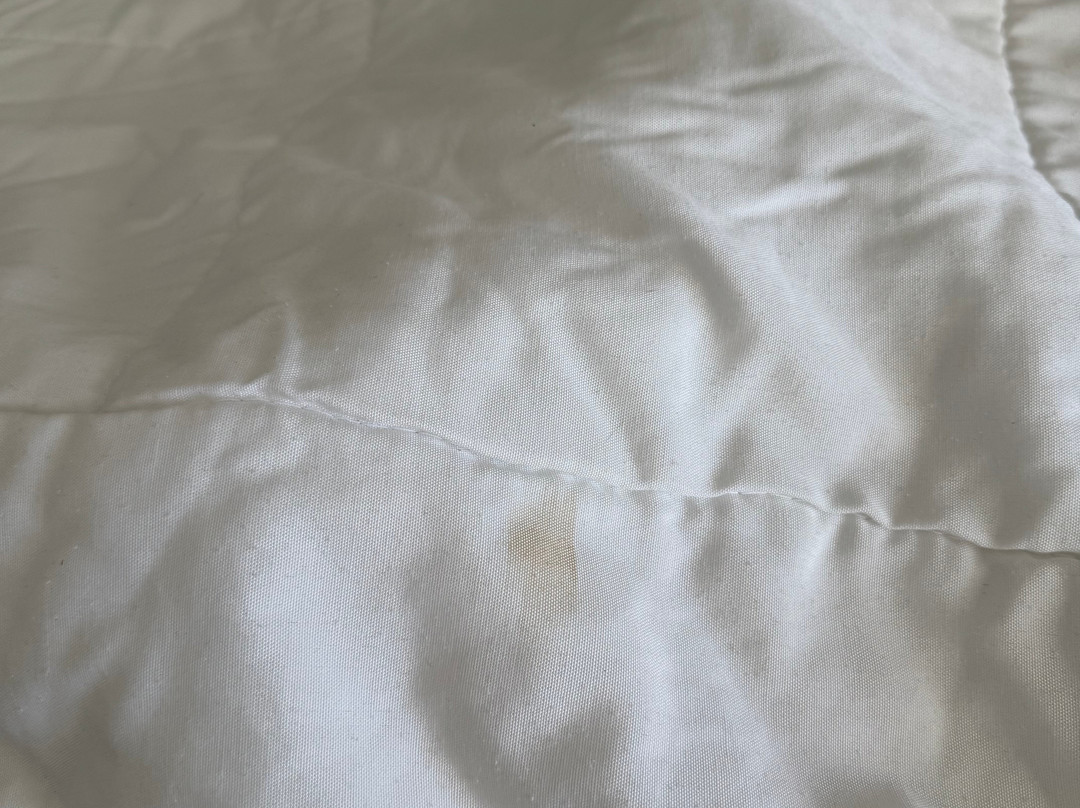 莫拉蒂棕榈码头酒店主图