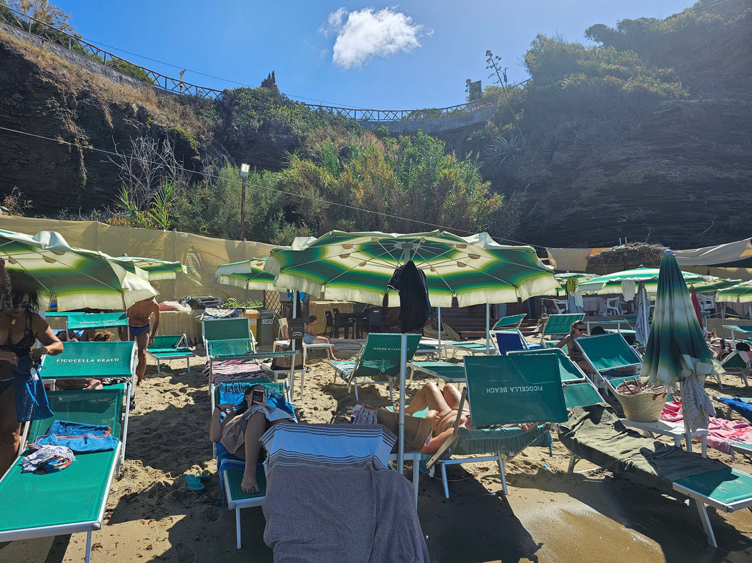 Ficocella Beach-Palinuro必去景点