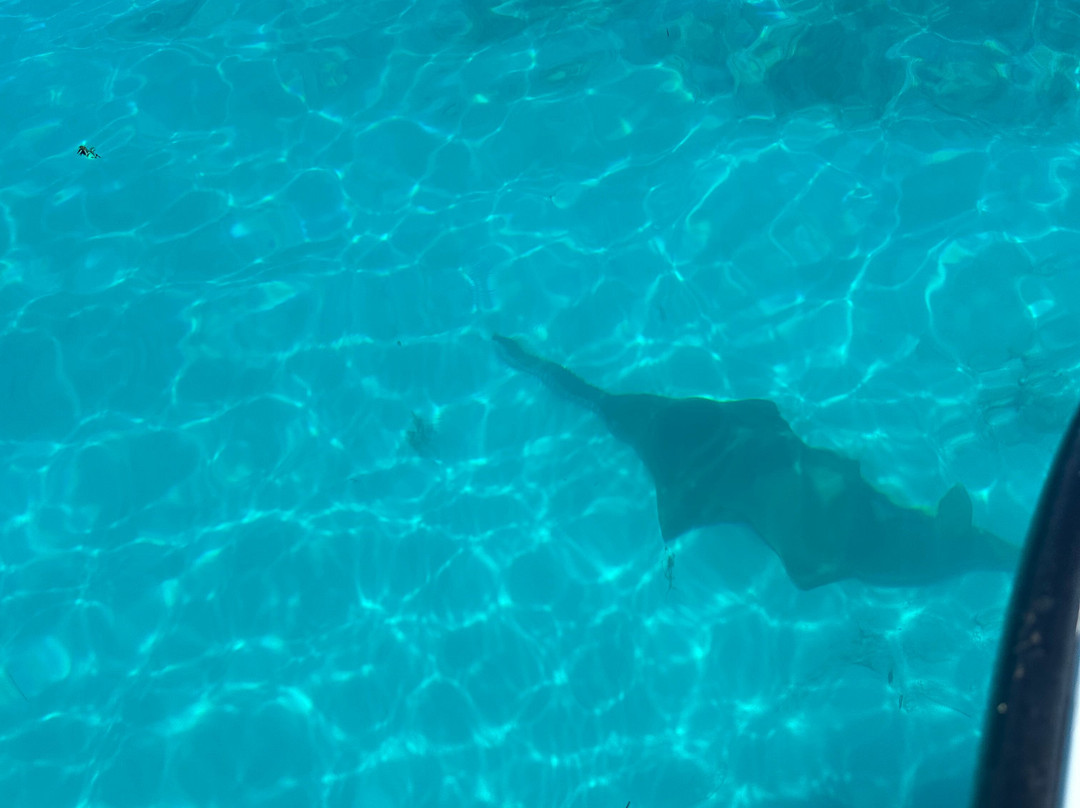 Long Island Boat Rentals-长岛必去景点