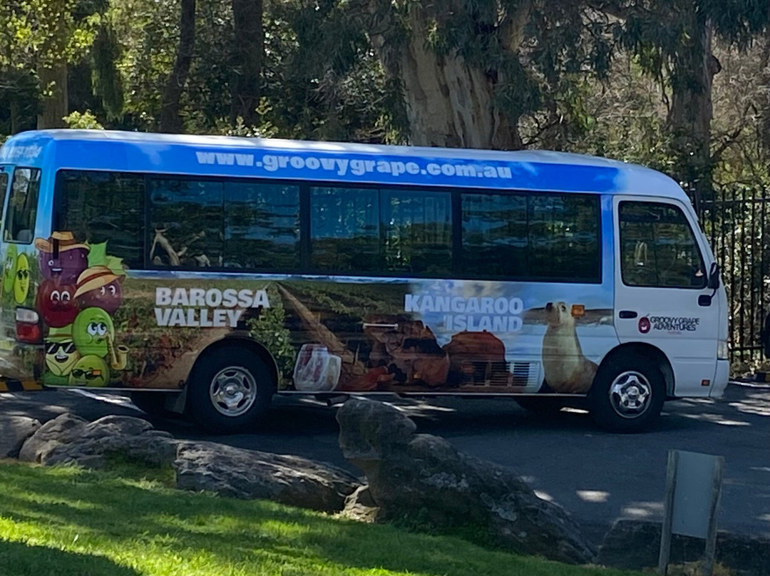 Groovy Grape Adventures-阿德莱德必去景点